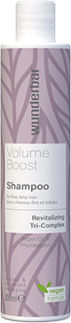 Volume Boost Shampooing